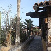 IMG 0001 2 (121)